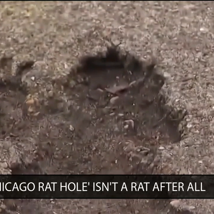 'Chicago Rat Hole' wasn't actually left by a rat